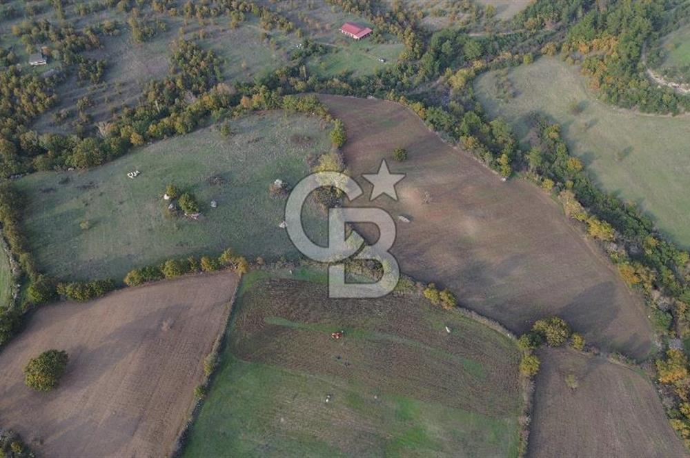 Çanakkale Bayrami.  Hacıdervişler De 20.502 M² Satılık Tarla !