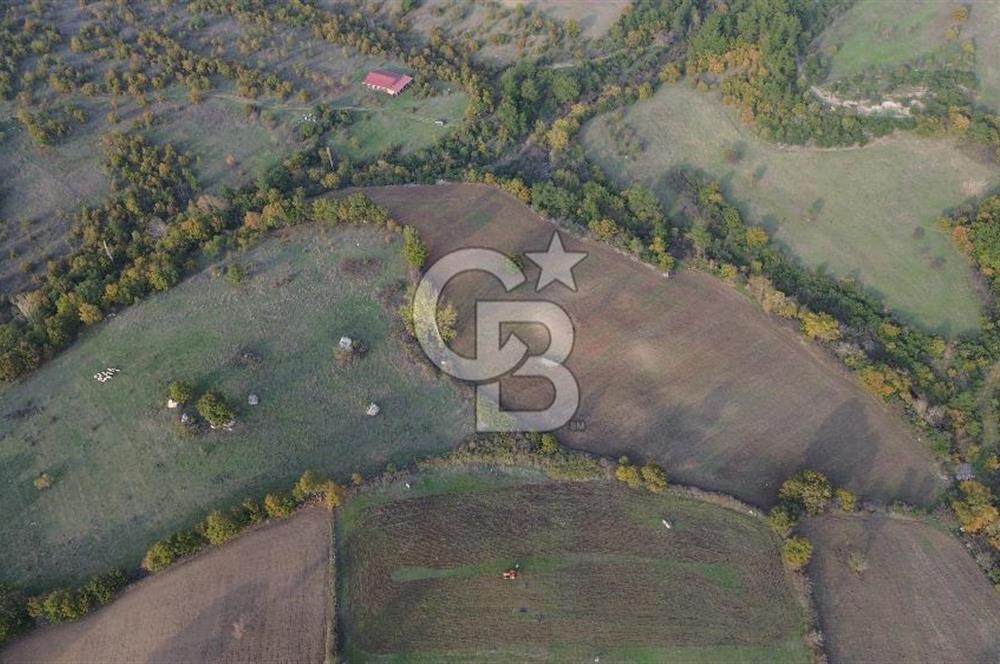 Çanakkale Bayrami.  Hacıdervişler De 20.502 M² Satılık Tarla !