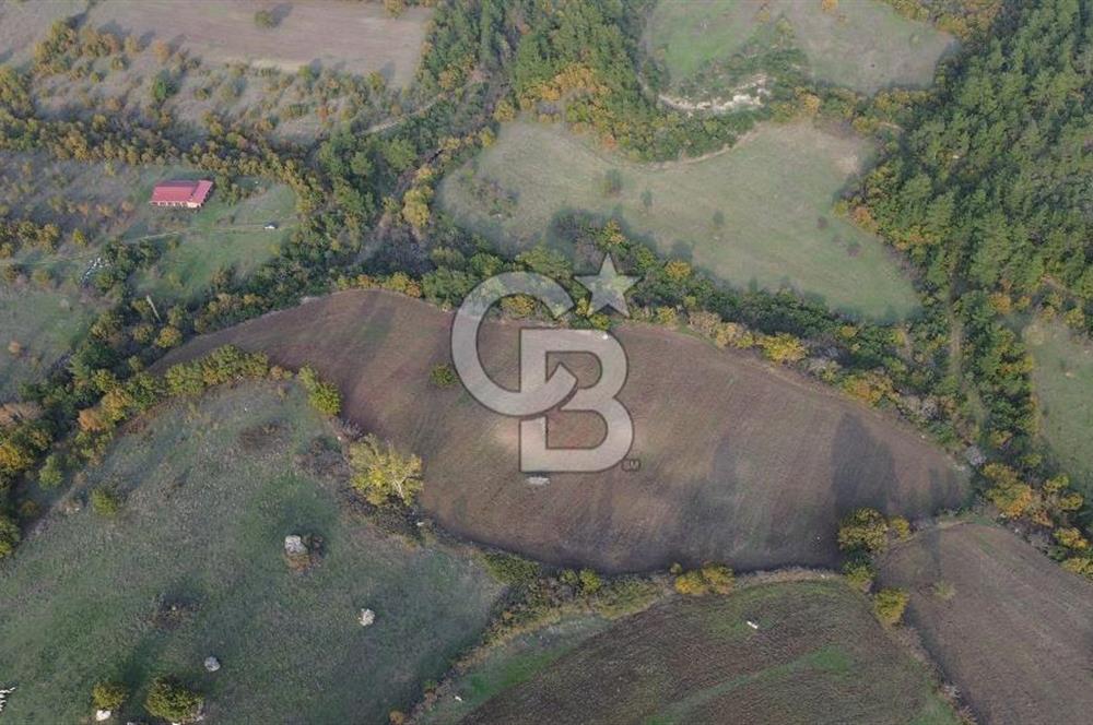 Çanakkale Bayrami.  Hacıdervişler De 20.502 M² Satılık Tarla !