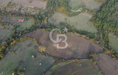 Çanakkale Bayrami.  Hacıdervişler De 20.502 M² Satılık Tarla !