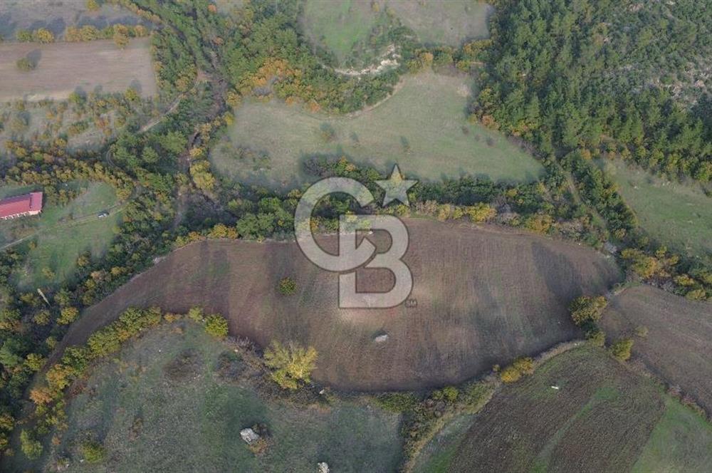 Çanakkale Bayrami.  Hacıdervişler De 20.502 M² Satılık Tarla !