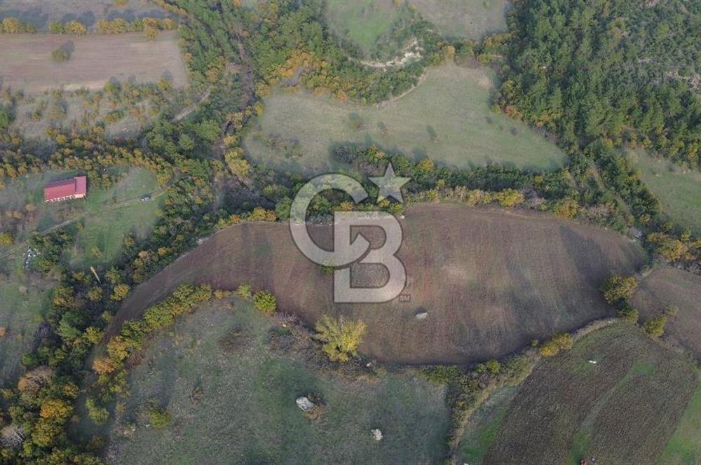 Çanakkale Bayrami.  Hacıdervişler De 20.502 M² Satılık Tarla !