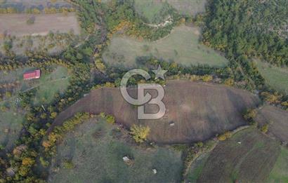 Çanakkale Bayrami.  Hacıdervişler De 20.502 M² Satılık Tarla !