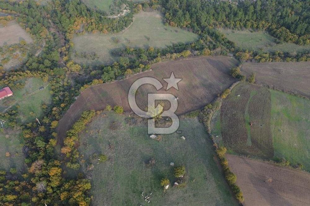 Çanakkale Bayrami.  Hacıdervişler De 20.502 M² Satılık Tarla !