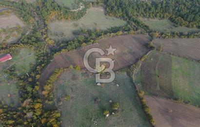 Çanakkale Bayrami.  Hacıdervişler De 20.502 M² Satılık Tarla !