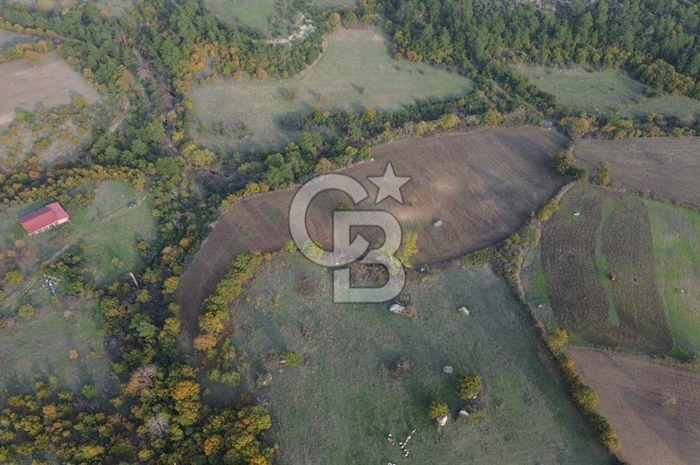Çanakkale Bayrami.  Hacıdervişler De 20.502 M² Satılık Tarla !