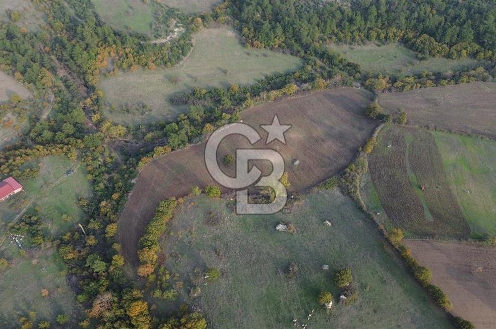 Çanakkale Bayrami.  Hacıdervişler De 20.502 M² Satılık Tarla !