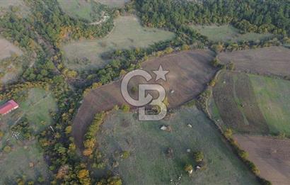 Çanakkale Bayrami.  Hacıdervişler De 20.502 M² Satılık Tarla !