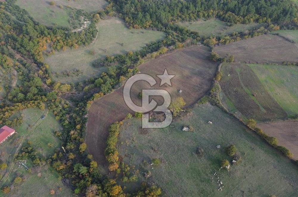 Çanakkale Bayrami.  Hacıdervişler De 20.502 M² Satılık Tarla !