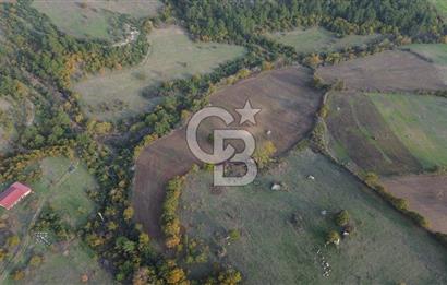 Çanakkale Bayrami.  Hacıdervişler De 20.502 M² Satılık Tarla !