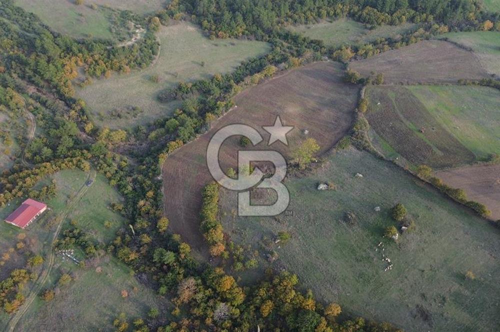 Çanakkale Bayrami.  Hacıdervişler De 20.502 M² Satılık Tarla !