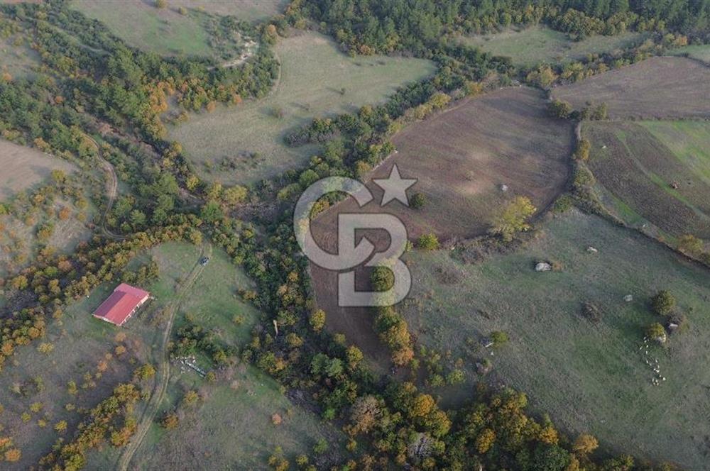 Çanakkale Bayrami.  Hacıdervişler De 20.502 M² Satılık Tarla !