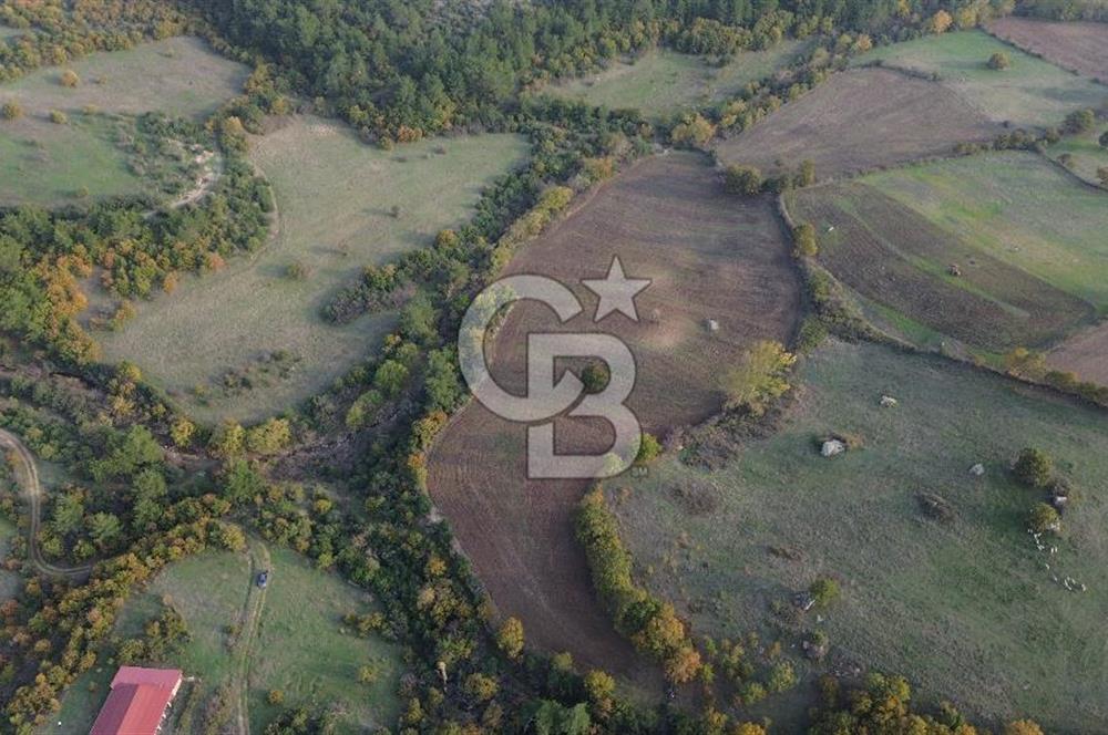 Çanakkale Bayrami.  Hacıdervişler De 20.502 M² Satılık Tarla !