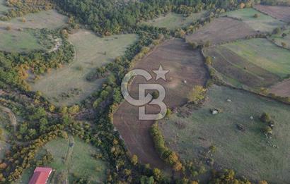 Çanakkale Bayrami.  Hacıdervişler De 20.502 M² Satılık Tarla !