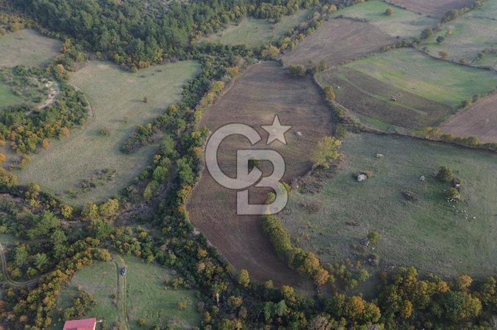 Çanakkale Bayrami.  Hacıdervişler De 20.502 M² Satılık Tarla !