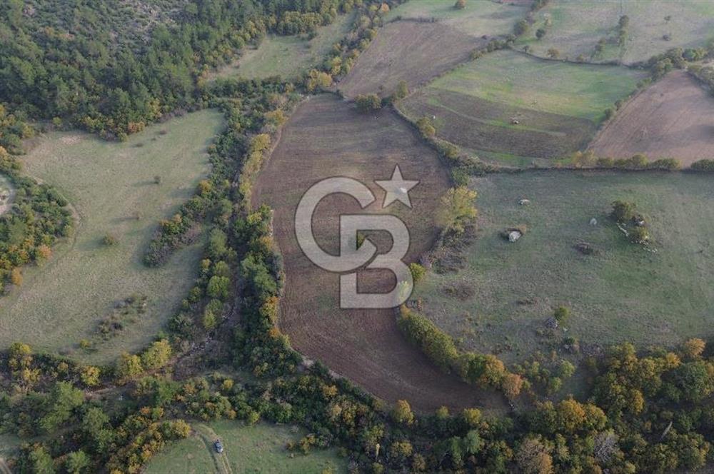 Çanakkale Bayrami.  Hacıdervişler De 20.502 M² Satılık Tarla !