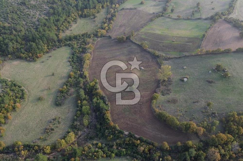 Çanakkale Bayrami.  Hacıdervişler De 20.502 M² Satılık Tarla !