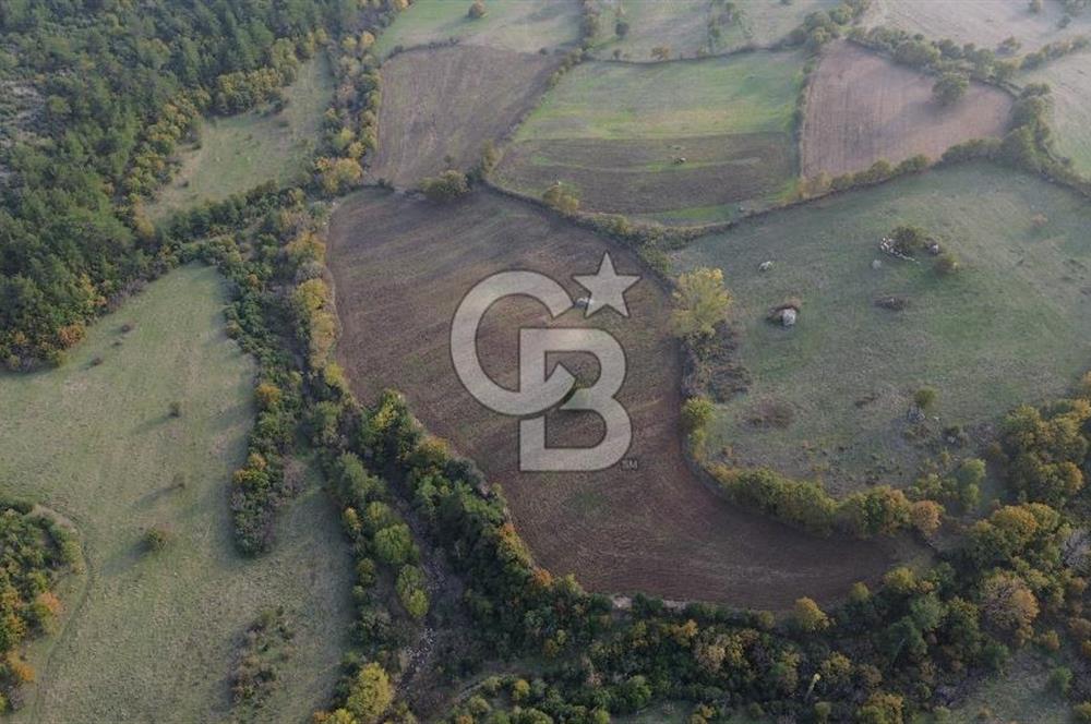 Çanakkale Bayrami.  Hacıdervişler De 20.502 M² Satılık Tarla !