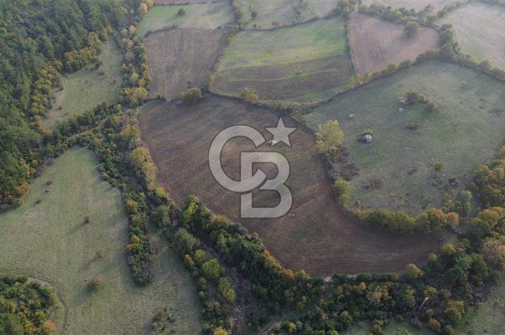 Çanakkale Bayrami.  Hacıdervişler De 20.502 M² Satılık Tarla !