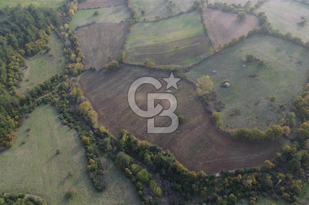 Çanakkale Bayrami.  Hacıdervişler De 20.502 M² Satılık Tarla !