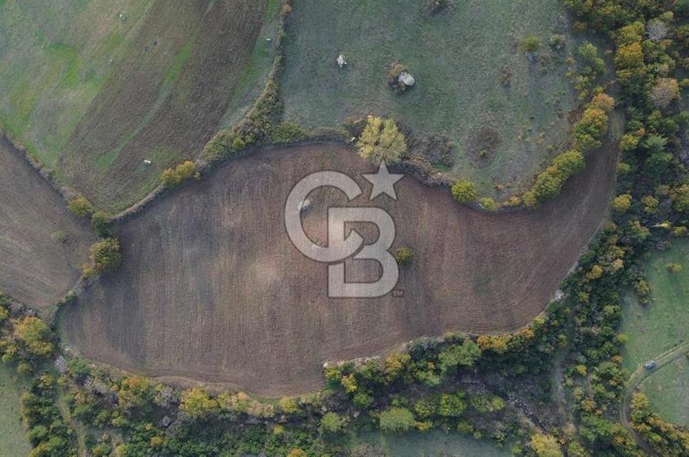 Çanakkale Bayrami.  Hacıdervişler De 20.502 M² Satılık Tarla !