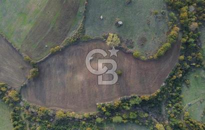 Çanakkale Bayrami.  Hacıdervişler De 20.502 M² Satılık Tarla !