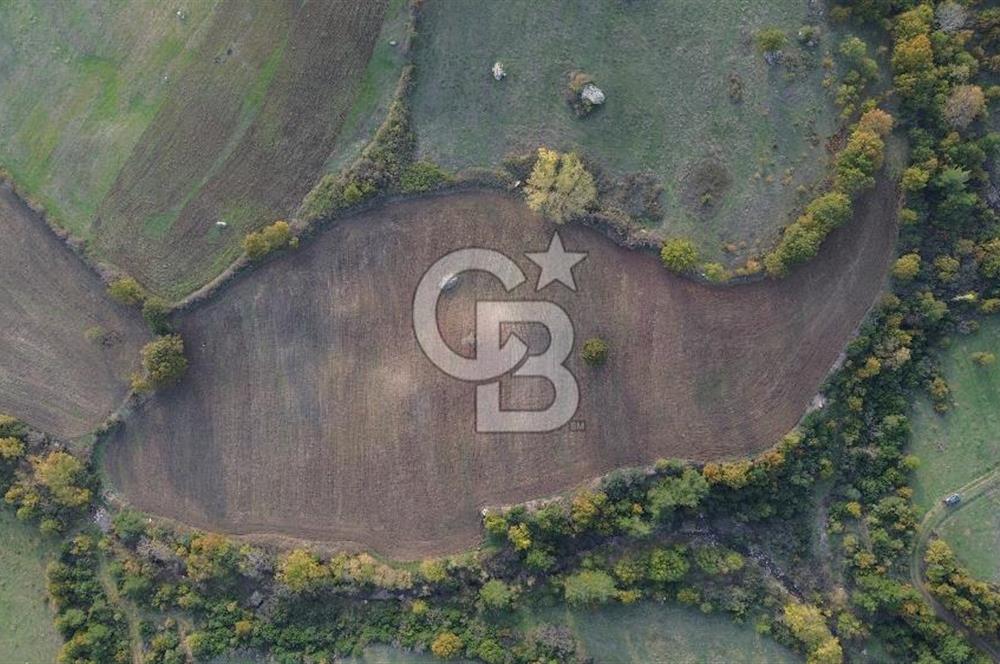 Çanakkale Bayrami.  Hacıdervişler De 20.502 M² Satılık Tarla !