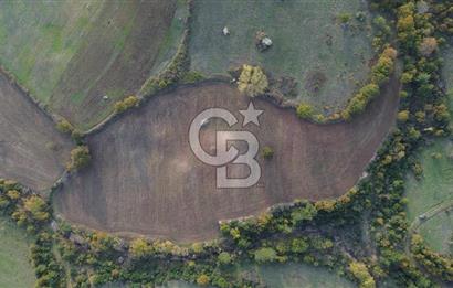 Çanakkale Bayrami.  Hacıdervişler De 20.502 M² Satılık Tarla !