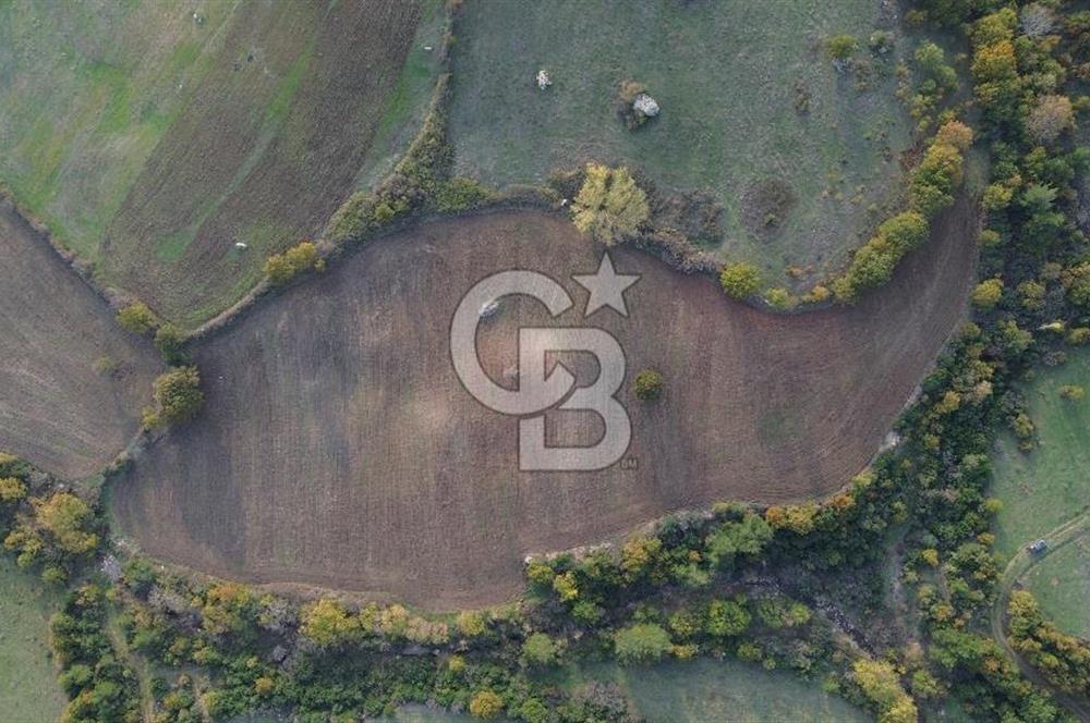 Çanakkale Bayrami.  Hacıdervişler De 20.502 M² Satılık Tarla !