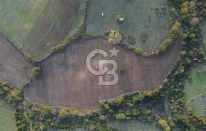 Çanakkale Bayrami.  Hacıdervişler De 20.502 M² Satılık Tarla !