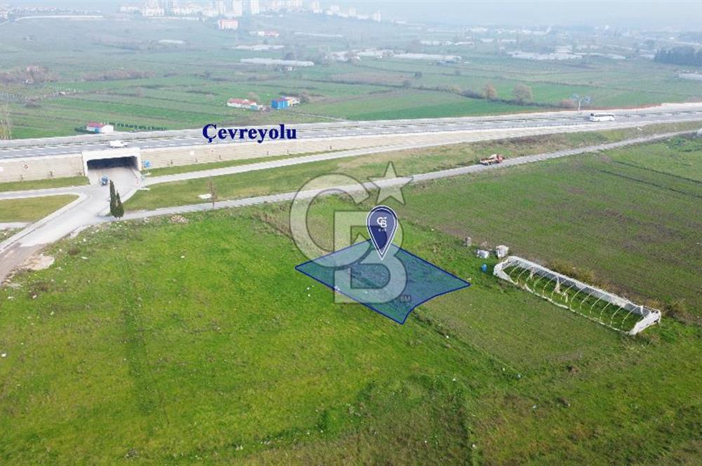 CB KİNG'DEN PAŞAALANI MAHALLESİ SATILIK KONUT İMARLI ARSA