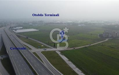 CB KİNG'DEN PAŞAALANI MAHALLESİ SATILIK KONUT İMARLI ARSA