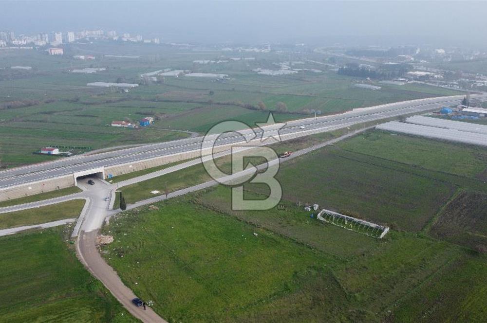 CB KİNG'DEN PAŞAALANI MAHALLESİ SATILIK KONUT İMARLI ARSA