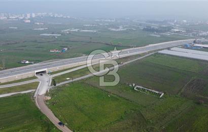 CB KİNG'DEN PAŞAALANI MAHALLESİ SATILIK KONUT İMARLI ARSA