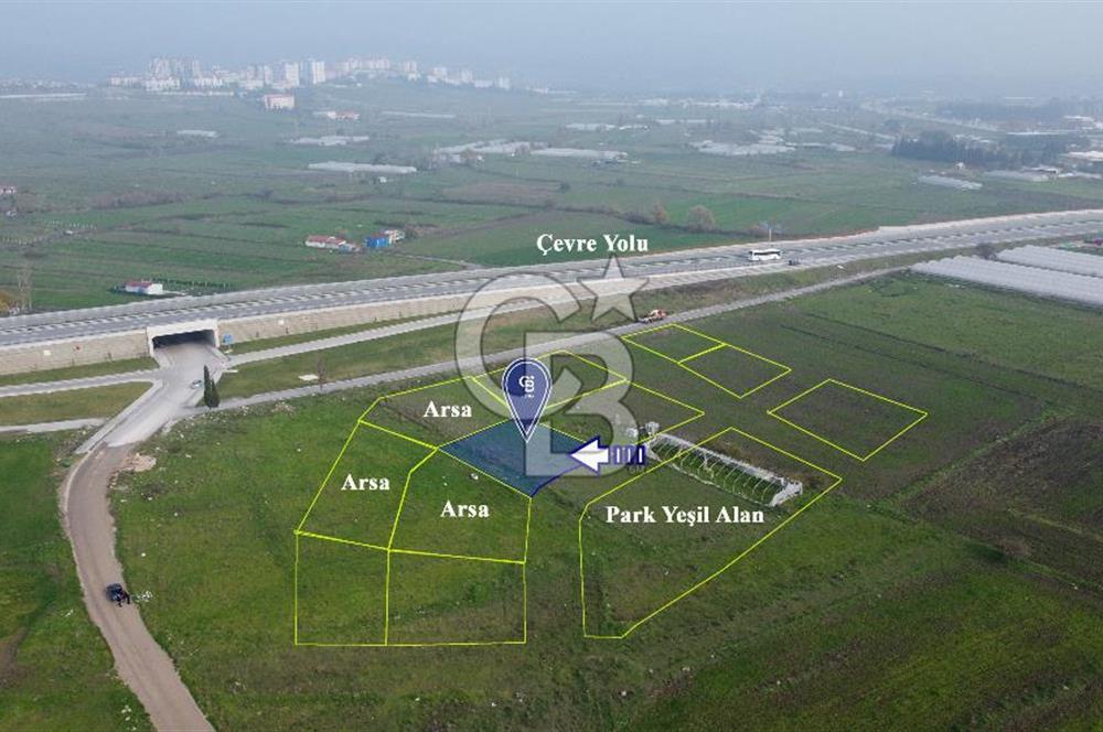 CB KİNG'DEN PAŞAALANI MAHALLESİ SATILIK KONUT İMARLI ARSA