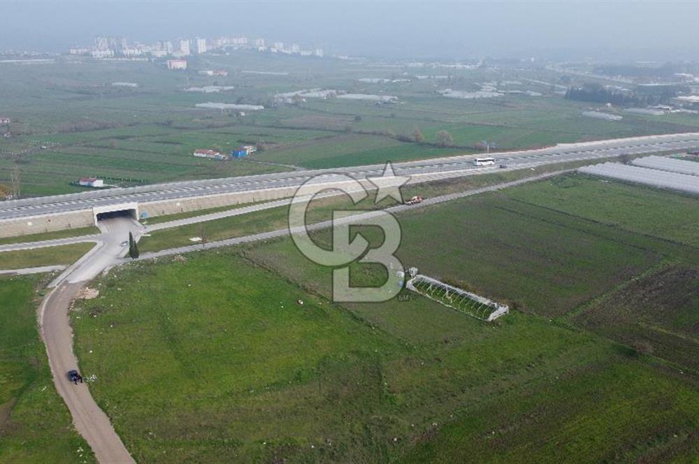 CB KİNG'DEN PAŞAALANI MAHALLESİ SATILIK KONUT İMARLI ARSA