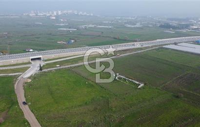 CB KİNG'DEN PAŞAALANI MAHALLESİ SATILIK KONUT İMARLI ARSA