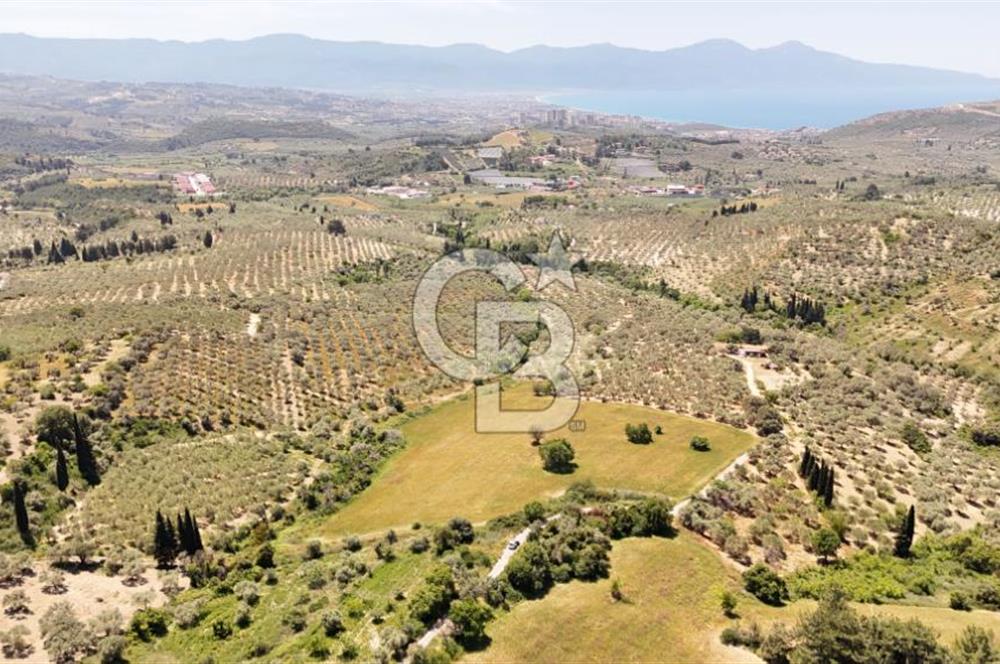 KUŞADASINDA DENİZ MANZARALI SATILIK TARLAFavorilerime EkleYazdırFacebook ile paylaş X ile paylaş E-posta ile gönder