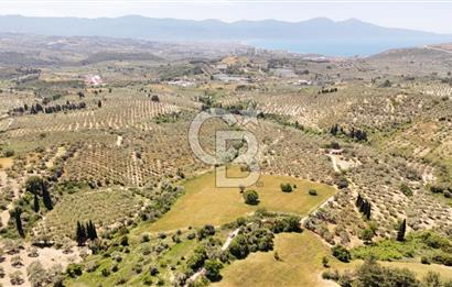 KUŞADASINDA DENİZ MANZARALI SATILIK TARLAFavorilerime EkleYazdırFacebook ile paylaş X ile paylaş E-posta ile gönder