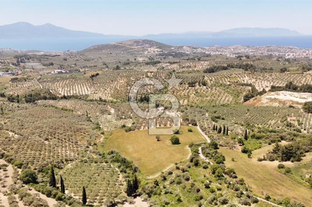 KUŞADASINDA DENİZ MANZARALI SATILIK TARLAFavorilerime EkleYazdırFacebook ile paylaş X ile paylaş E-posta ile gönder