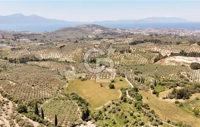 KUŞADASINDA DENİZ MANZARALI SATILIK TARLAFavorilerime EkleYazdırFacebook ile paylaş X ile paylaş E-posta ile gönder