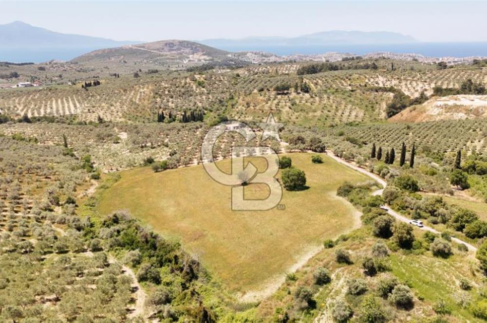 KUŞADASINDA DENİZ MANZARALI SATILIK TARLAFavorilerime EkleYazdırFacebook ile paylaş X ile paylaş E-posta ile gönder