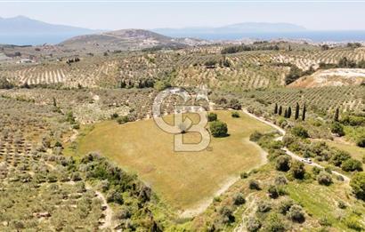 KUŞADASINDA DENİZ MANZARALI SATILIK TARLAFavorilerime EkleYazdırFacebook ile paylaş X ile paylaş E-posta ile gönder