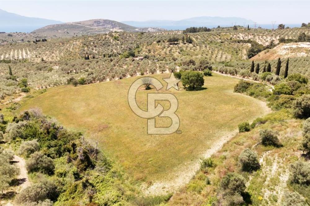 KUŞADASINDA DENİZ MANZARALI SATILIK TARLAFavorilerime EkleYazdırFacebook ile paylaş X ile paylaş E-posta ile gönder