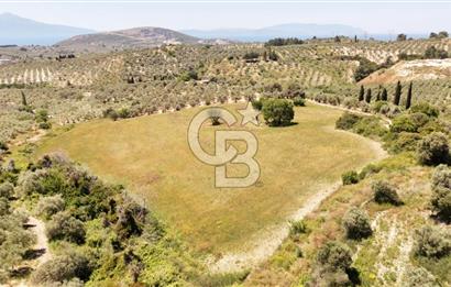 KUŞADASINDA DENİZ MANZARALI SATILIK TARLAFavorilerime EkleYazdırFacebook ile paylaş X ile paylaş E-posta ile gönder