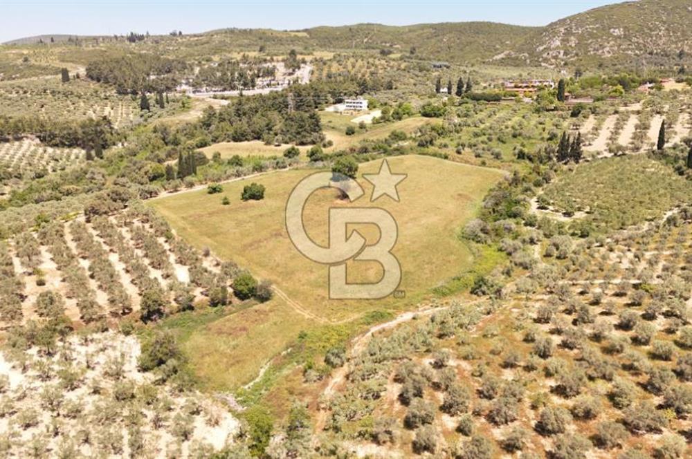 KUŞADASINDA DENİZ MANZARALI SATILIK TARLAFavorilerime EkleYazdırFacebook ile paylaş X ile paylaş E-posta ile gönder