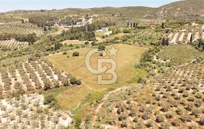 KUŞADASINDA DENİZ MANZARALI SATILIK TARLAFavorilerime EkleYazdırFacebook ile paylaş X ile paylaş E-posta ile gönder