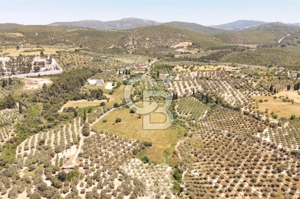 KUŞADASINDA DENİZ MANZARALI SATILIK TARLAFavorilerime EkleYazdırFacebook ile paylaş X ile paylaş E-posta ile gönder