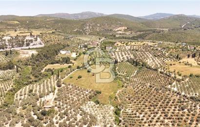 KUŞADASINDA DENİZ MANZARALI SATILIK TARLAFavorilerime EkleYazdırFacebook ile paylaş X ile paylaş E-posta ile gönder