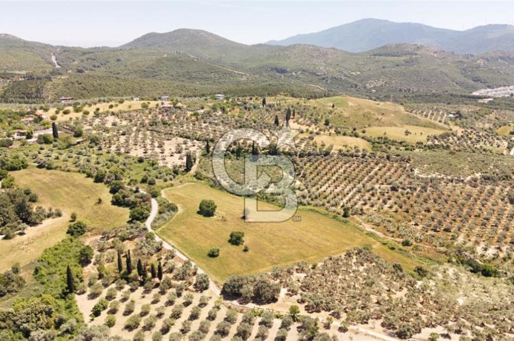 KUŞADASINDA DENİZ MANZARALI SATILIK TARLAFavorilerime EkleYazdırFacebook ile paylaş X ile paylaş E-posta ile gönder